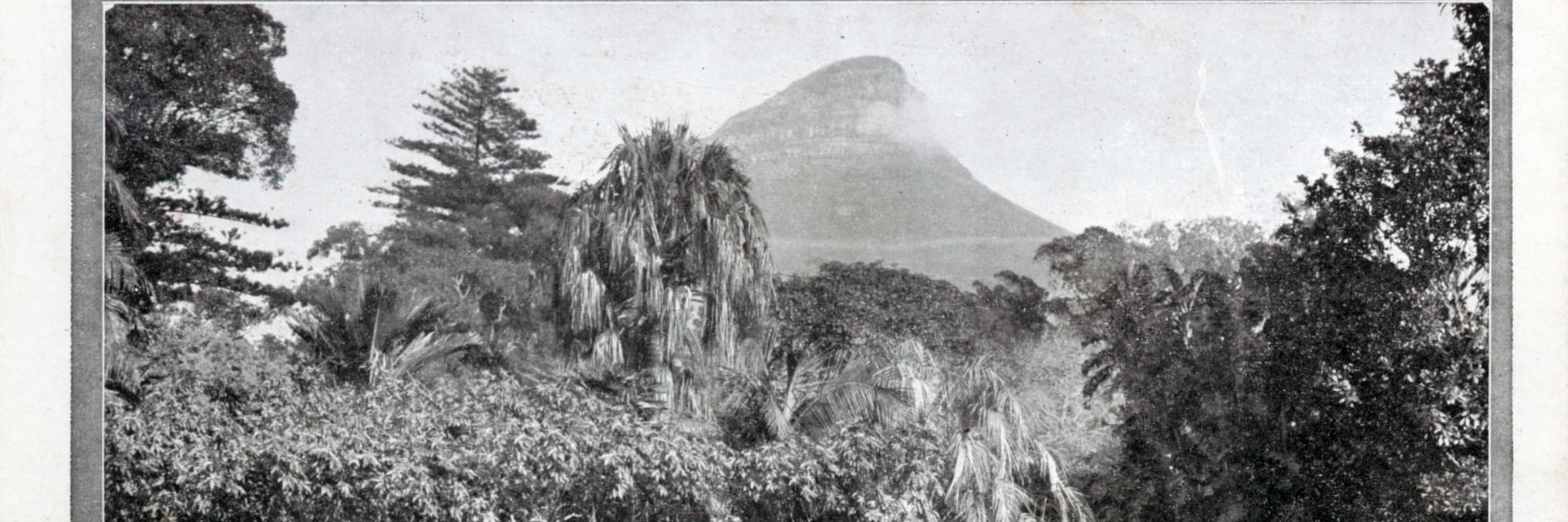 In Decent Company - A Heritage Walking Tour through the Company Gardens