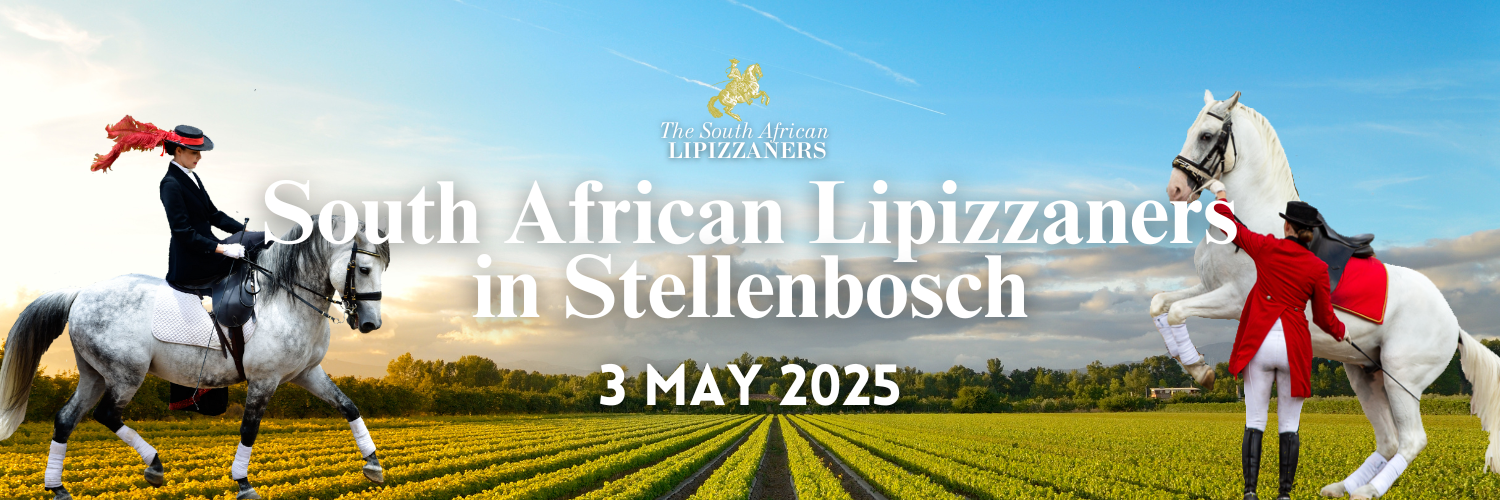 South African Lipizzaners Extravaganza in Stellenbosch