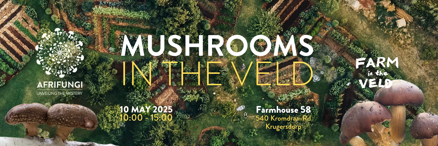 Mushrooms in the Veld