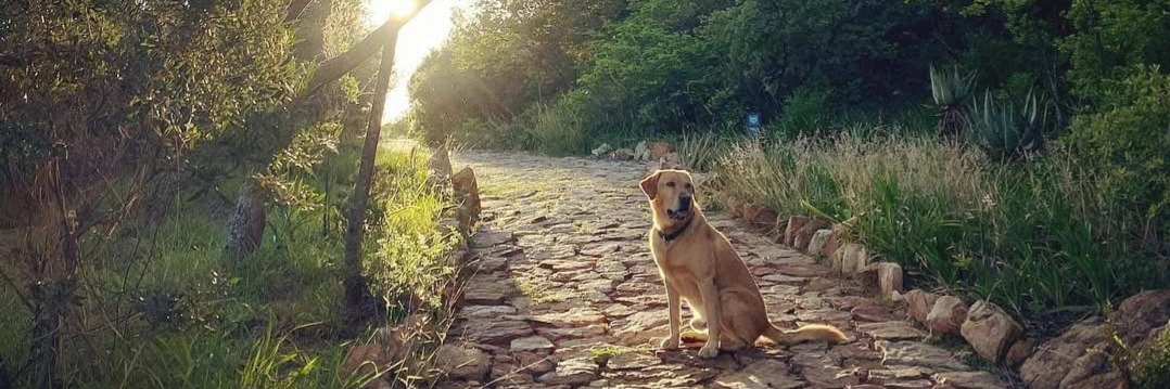 Exclusive tour of The Wilds