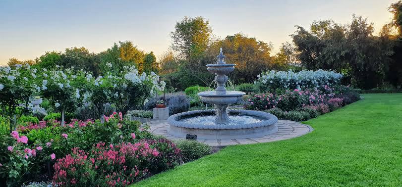 Mothers Day Luncheon on Lavender Lane