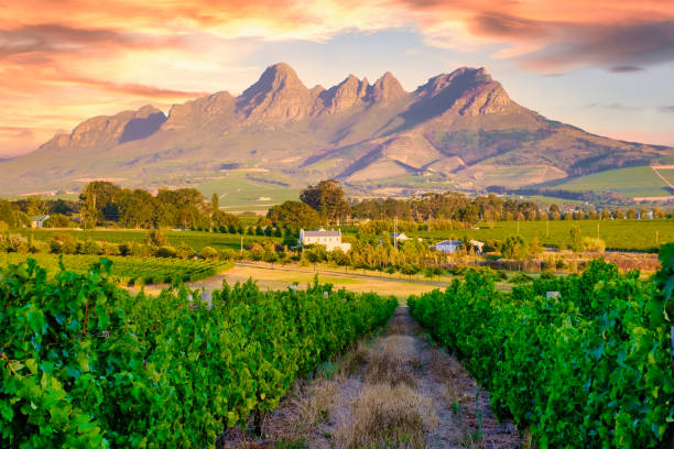 Dad's Talk Stellenbosch 2025