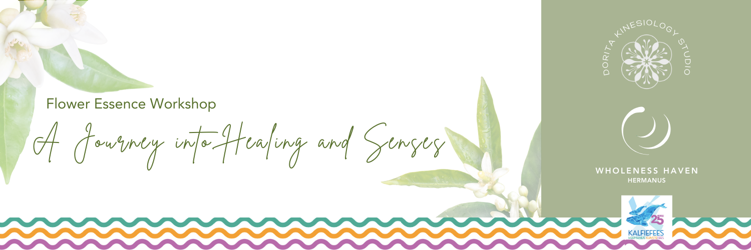 Flower Essence Workshop