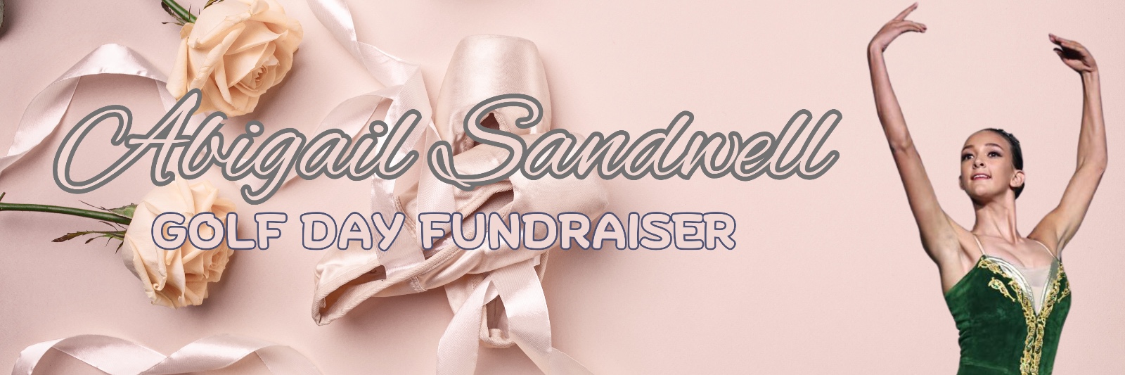 Abigail Sandwell Fundraiser