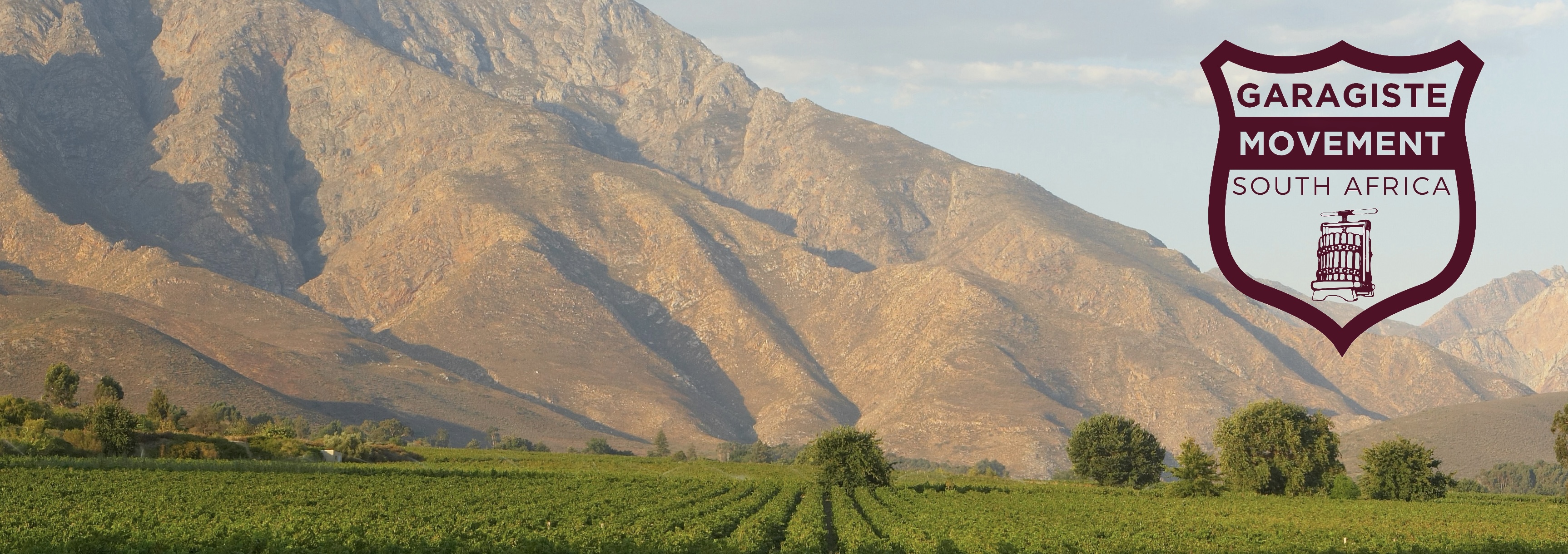 GARAGISTE WINE EXPERIENCE