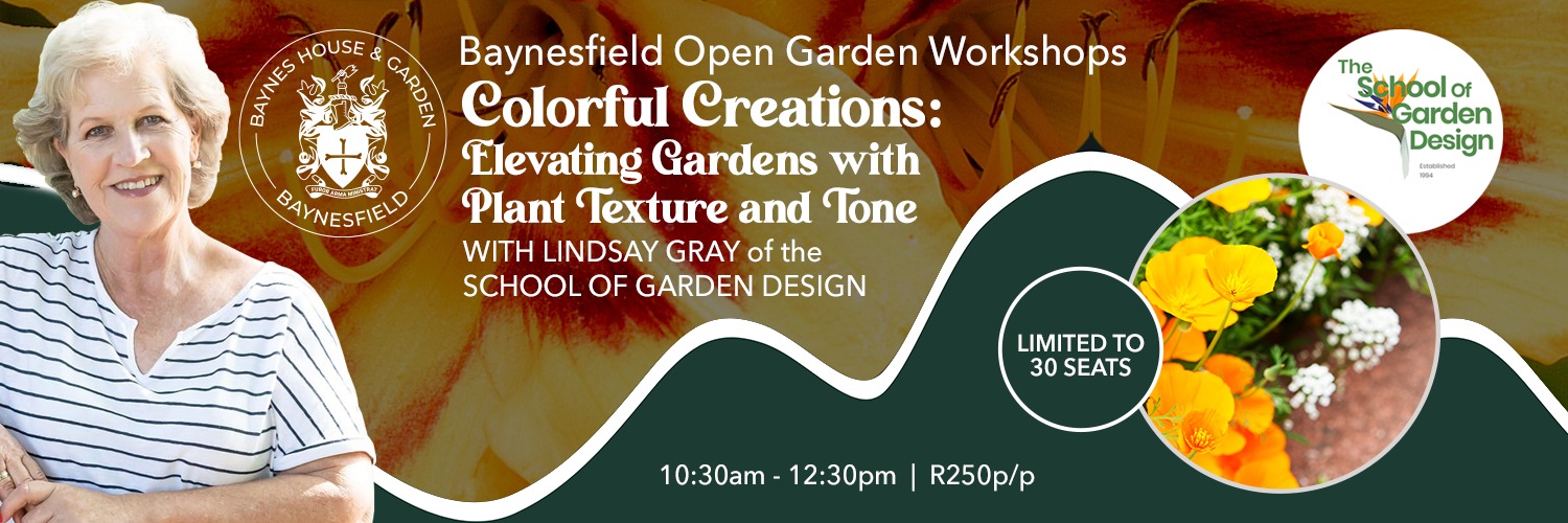 Colorful Creations: Elevating Gardens with Plant texture and tone