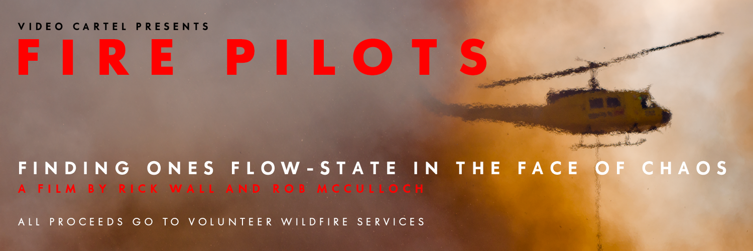 Fire Pilots - Cape Point Vineyards