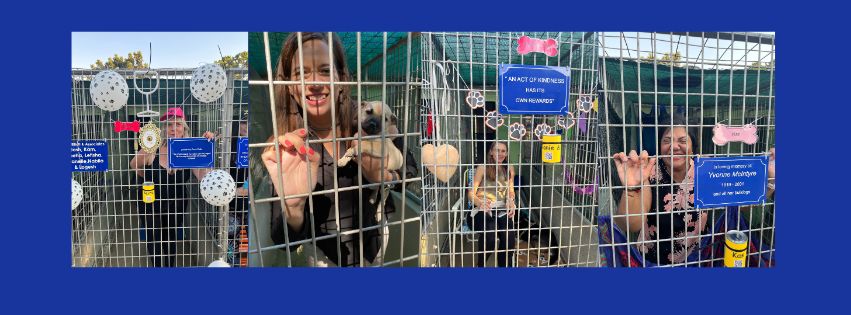 2025 Kennels Sleepover