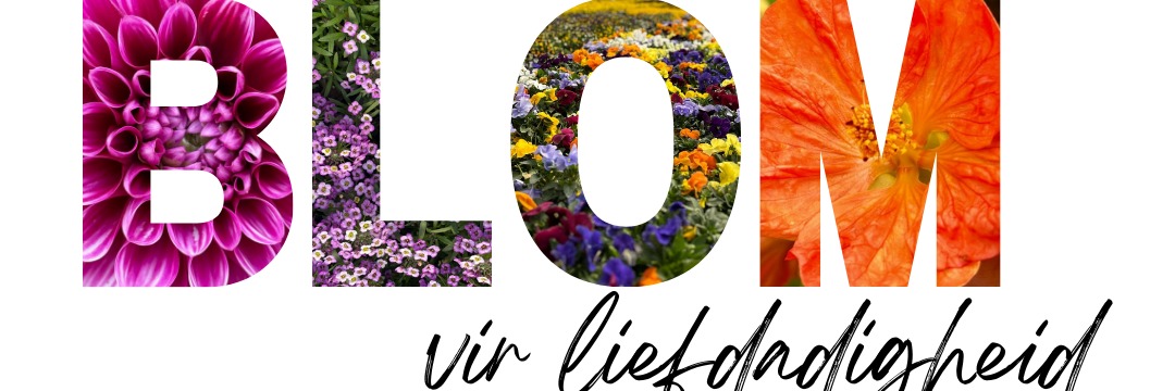 BLOM vir liefdadigheid