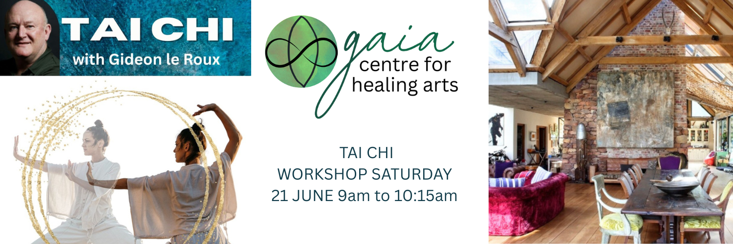 Tai Chi with Gideon le Roux