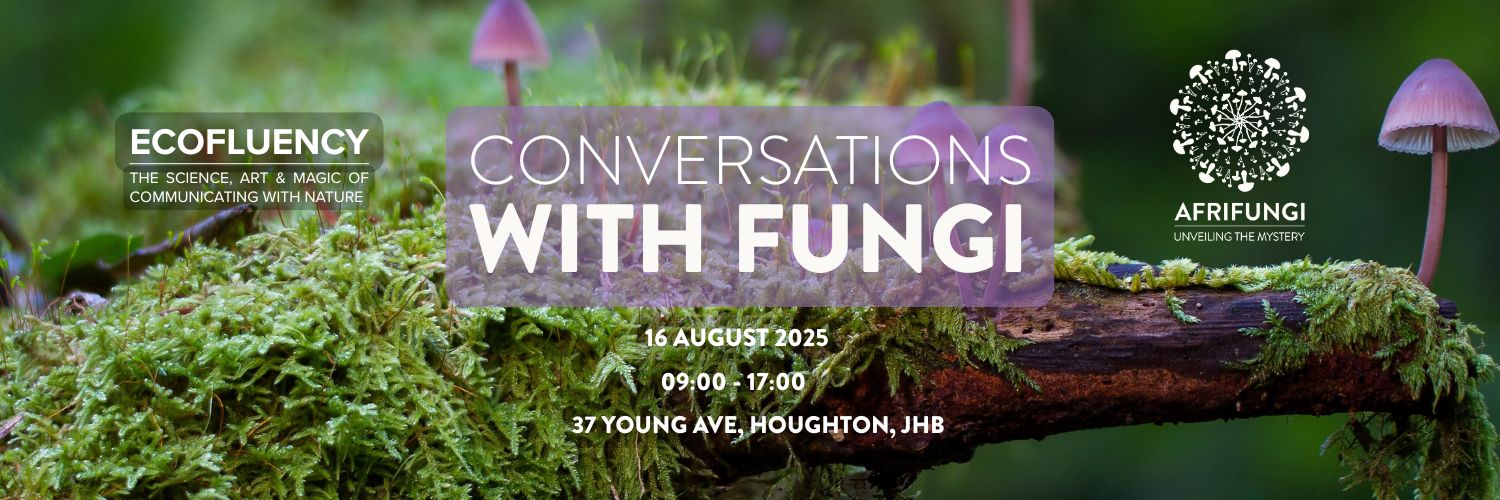 Conversations with Fungi: an Ecofluency x Afrifungi workshop