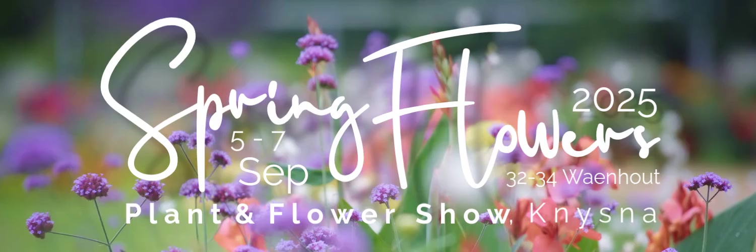 SpringFlowers 2025