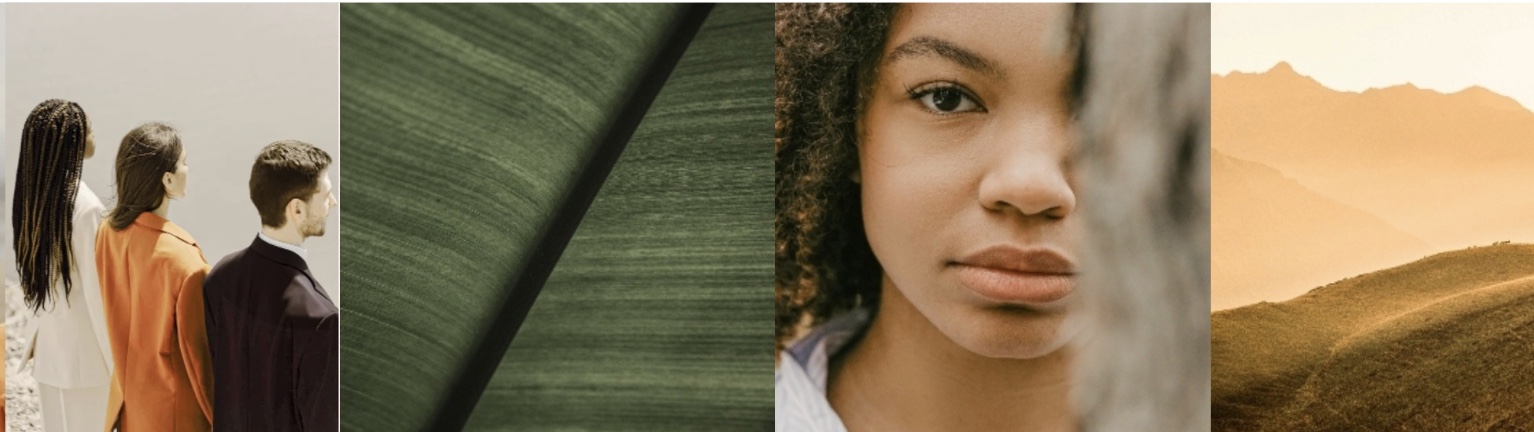 Measurable Wellness for Meaningful Impact