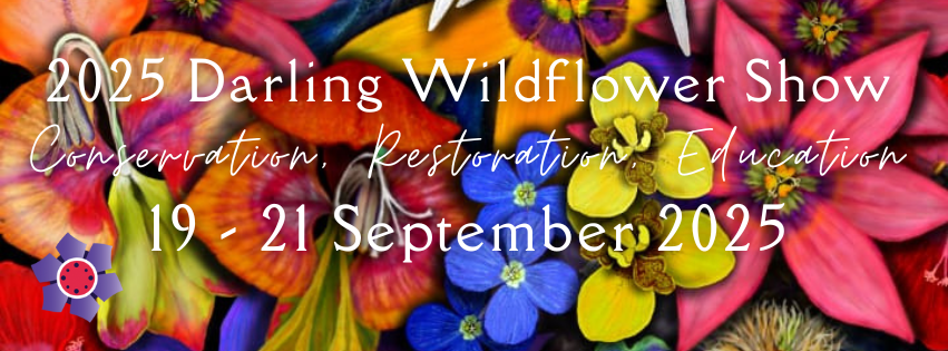 Darling Wildflower Show 2025