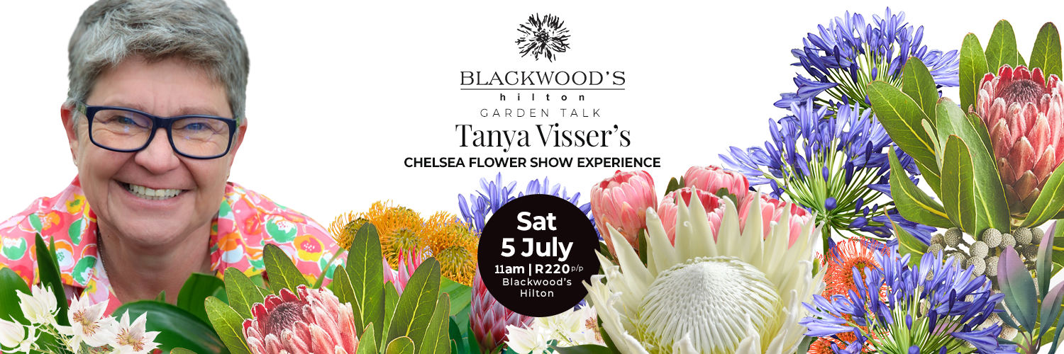 Garden Talk with Tanya Visser