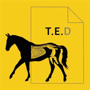 The Equine Documentalist (Yogi Sharp) - Johannesburg