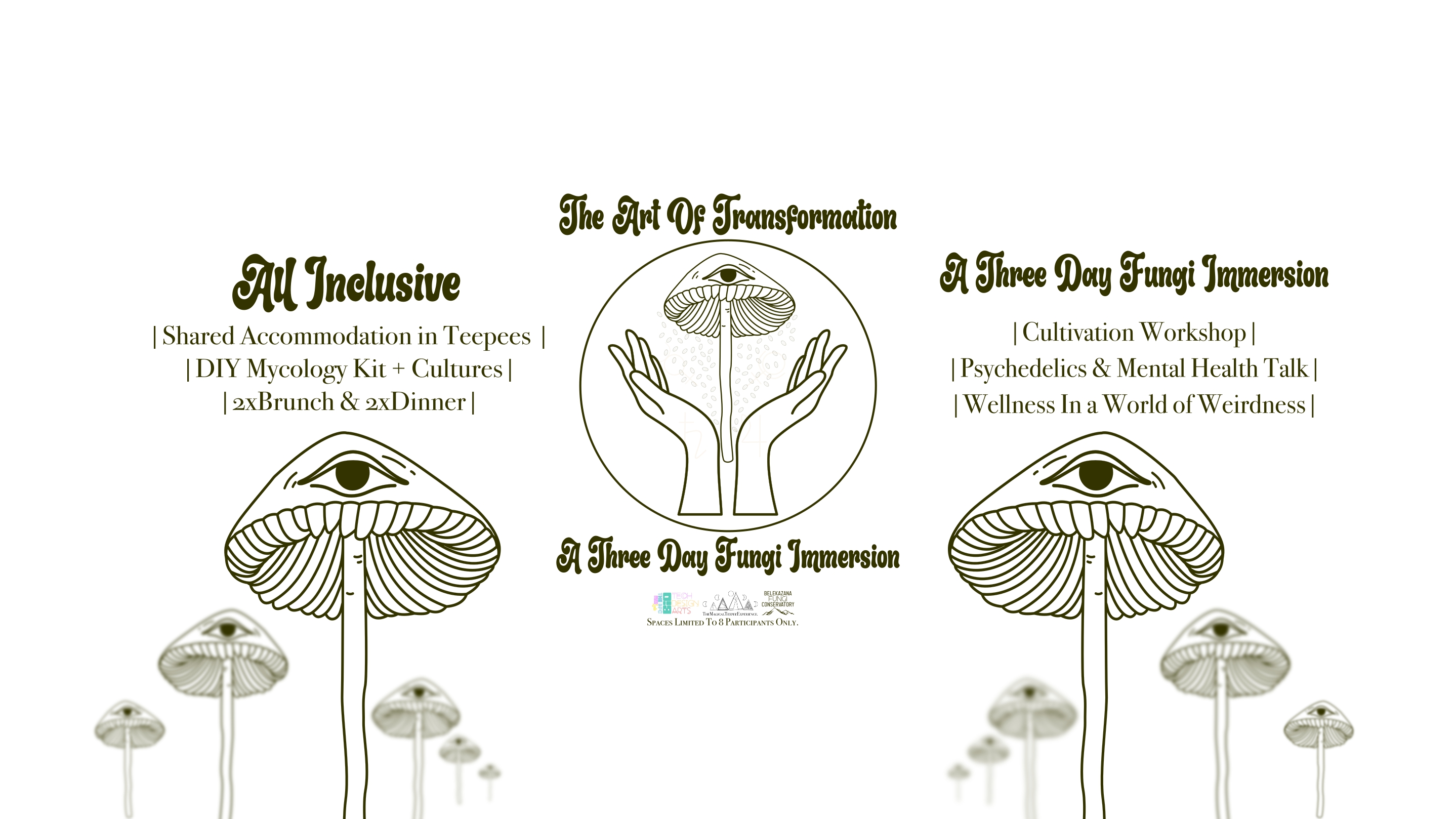 The Art Of Transformation