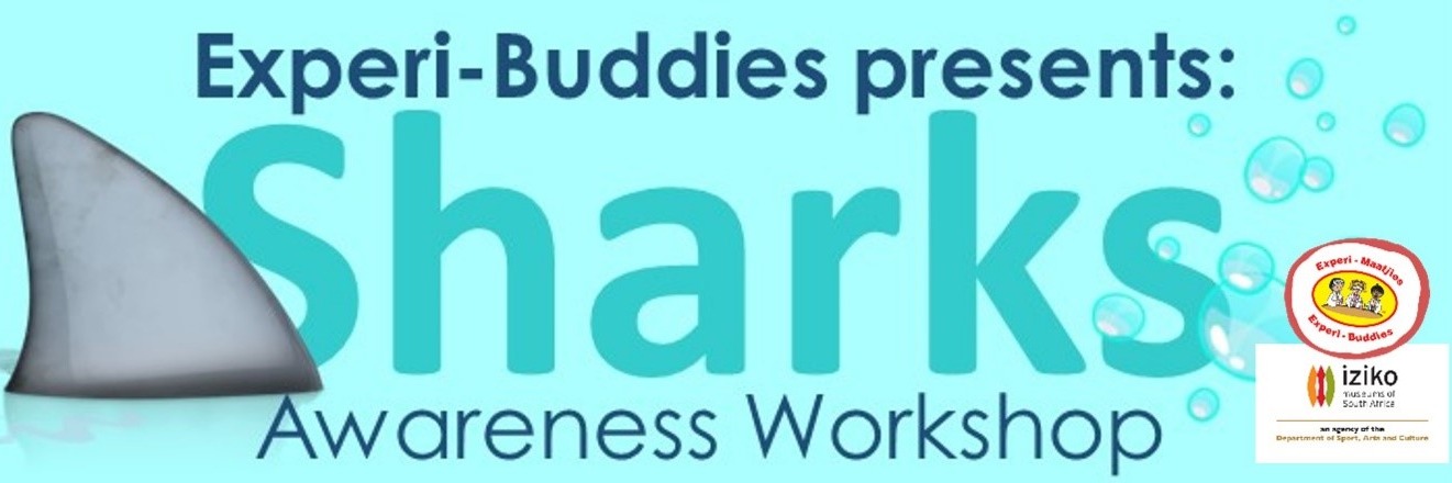 Experi-Buddies Shark Awareness Workshop 2025