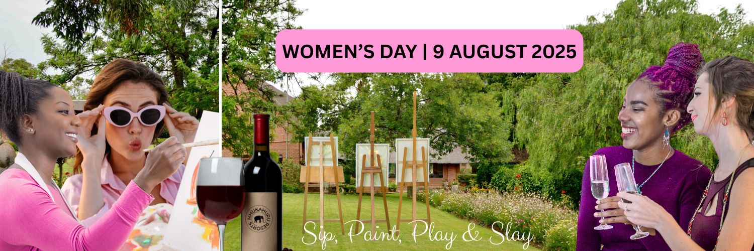 Midrand | Centurion Sip, Paint, Play & Slay!