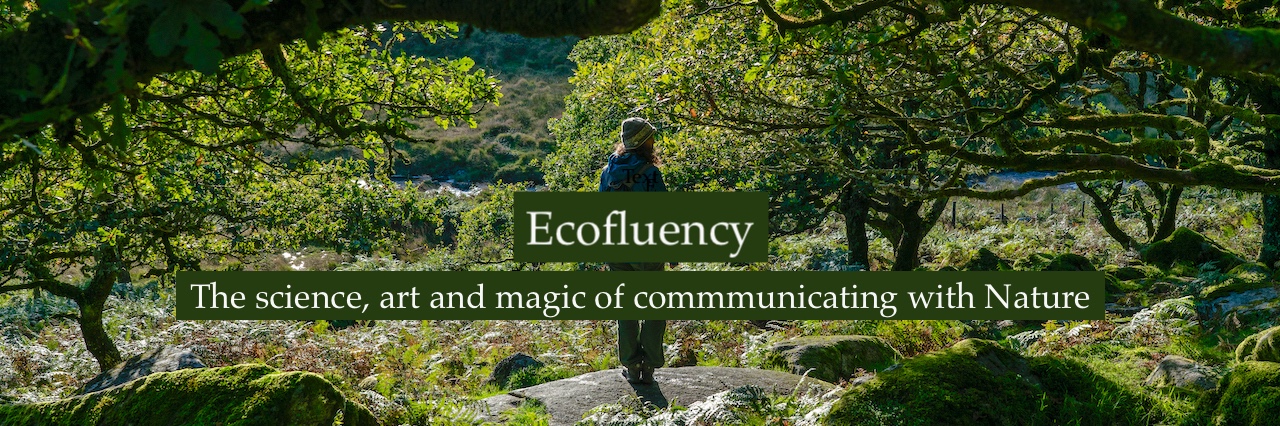 Ecofluency Evening: The Science, Art & Magic of Nature Communication