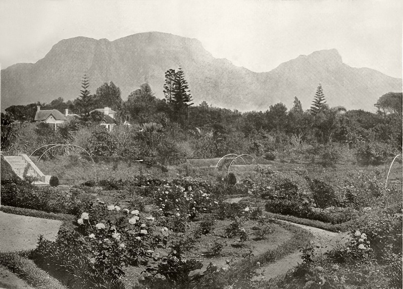 The Cape High Street - A Claremont Heritage Walking Tour