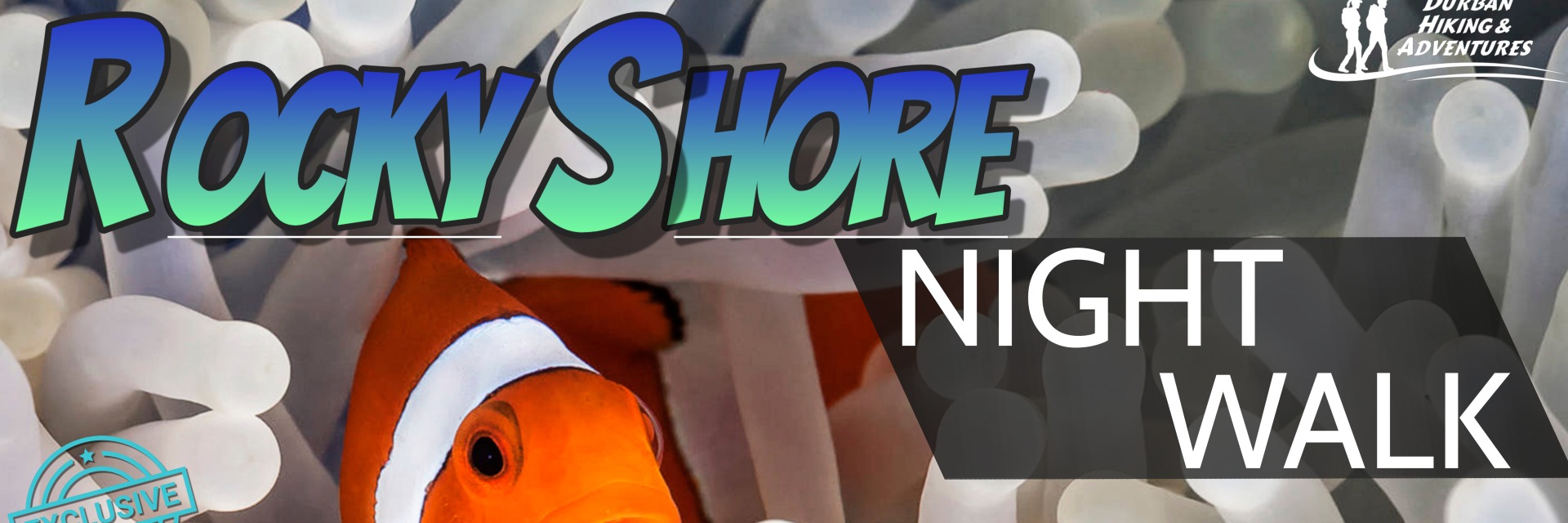 Rocky Shore Night Walk