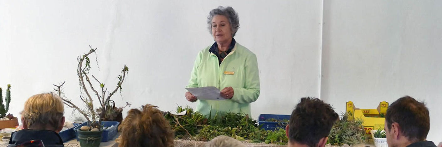 Workshop, Container Gardening with Succulent Plants