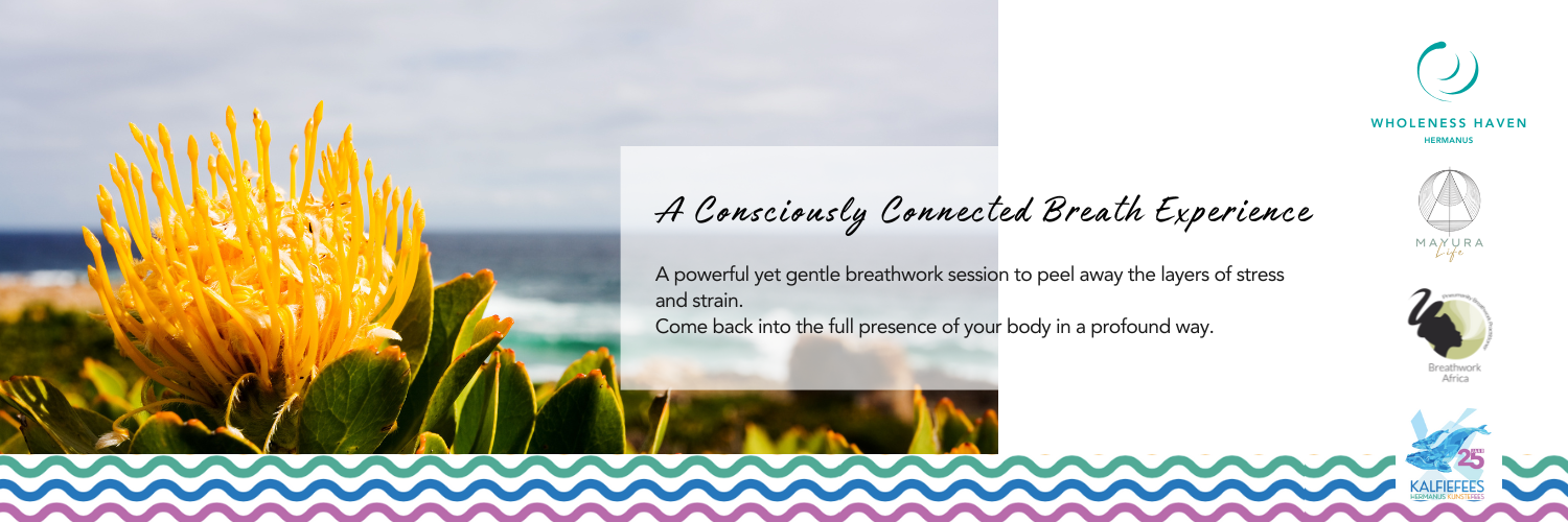 A Conscious Connected Breath Experience