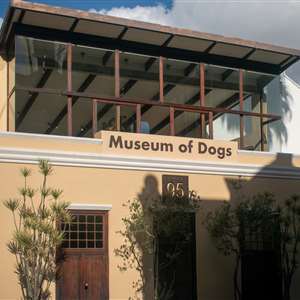 Museum of Dogs Birthday