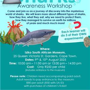 Experi-Buddies Shark Awareness Workshop 2025