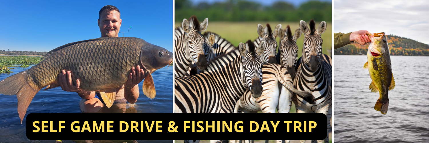 Kameeldrift Self Game Drive and Fishing Day Trip