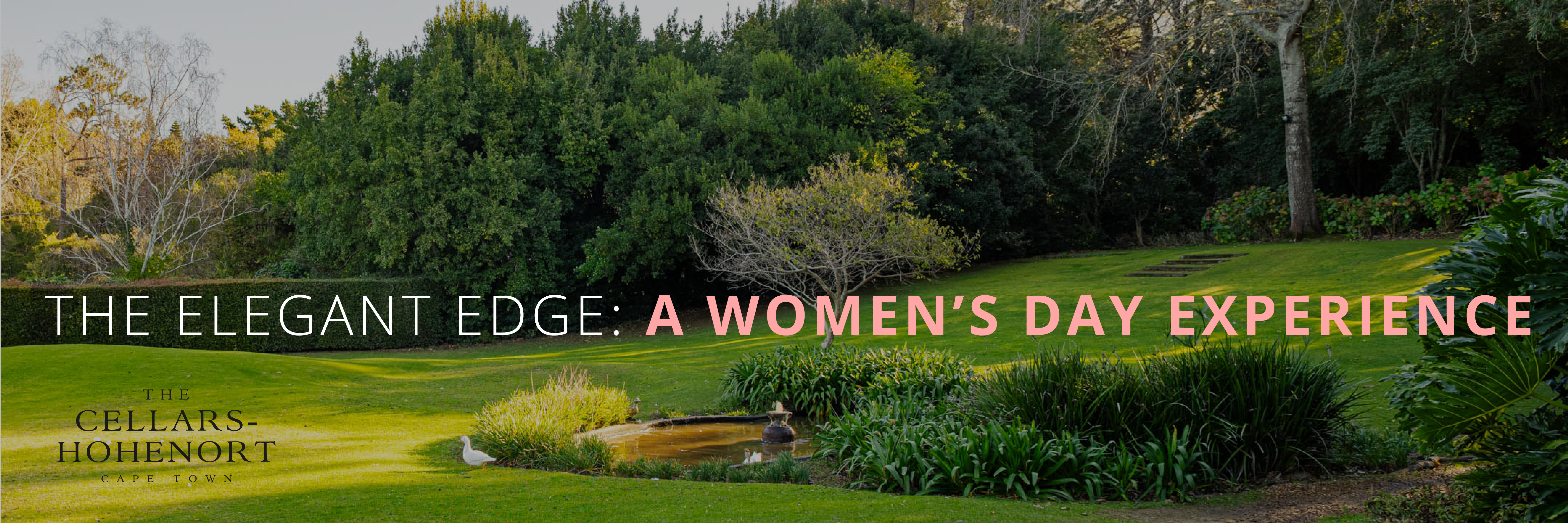 The Elegant Edge Unlocking Sleep, Energy & Emotional Mastery – for Women on the Move