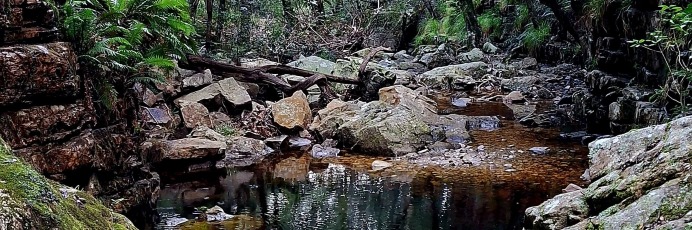 Orange Kloof Guided Hike