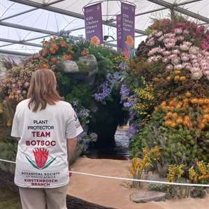 Heritage Day Bus Trip to Chelsea Flower Show