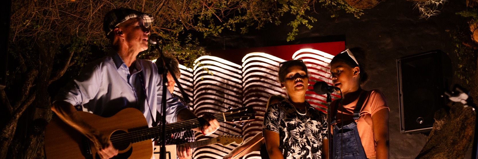 David G & Friends - A Fundraiser for MiC (Music in Community)