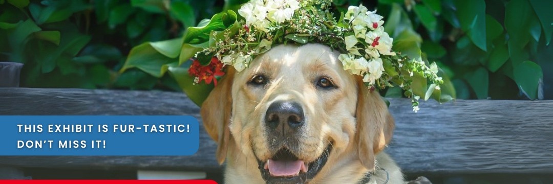 Spring Festival: A Photo Exhibition