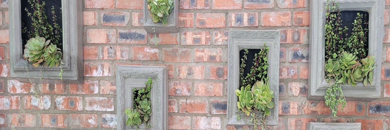 Workshop, Living Decor, Live Succulent Plant Decor