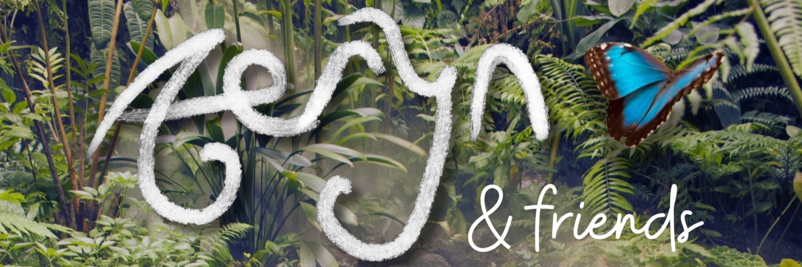 Aeryn at the Hollow Tree