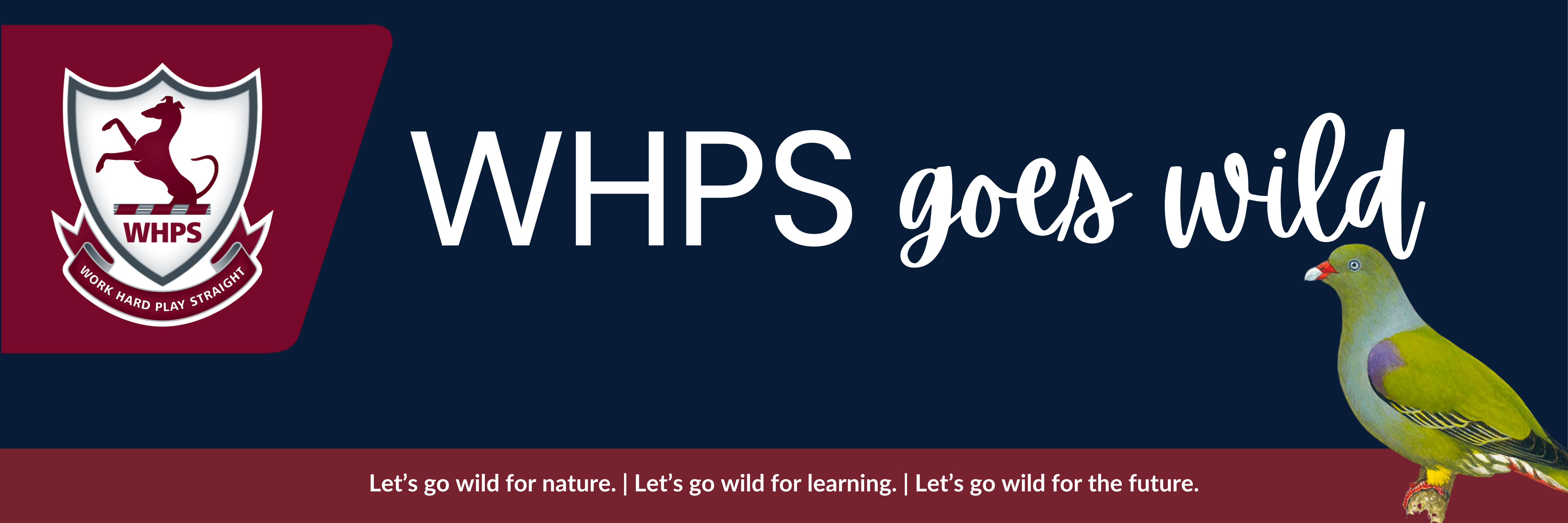 WHPS Goes Wild - Get Into Birding