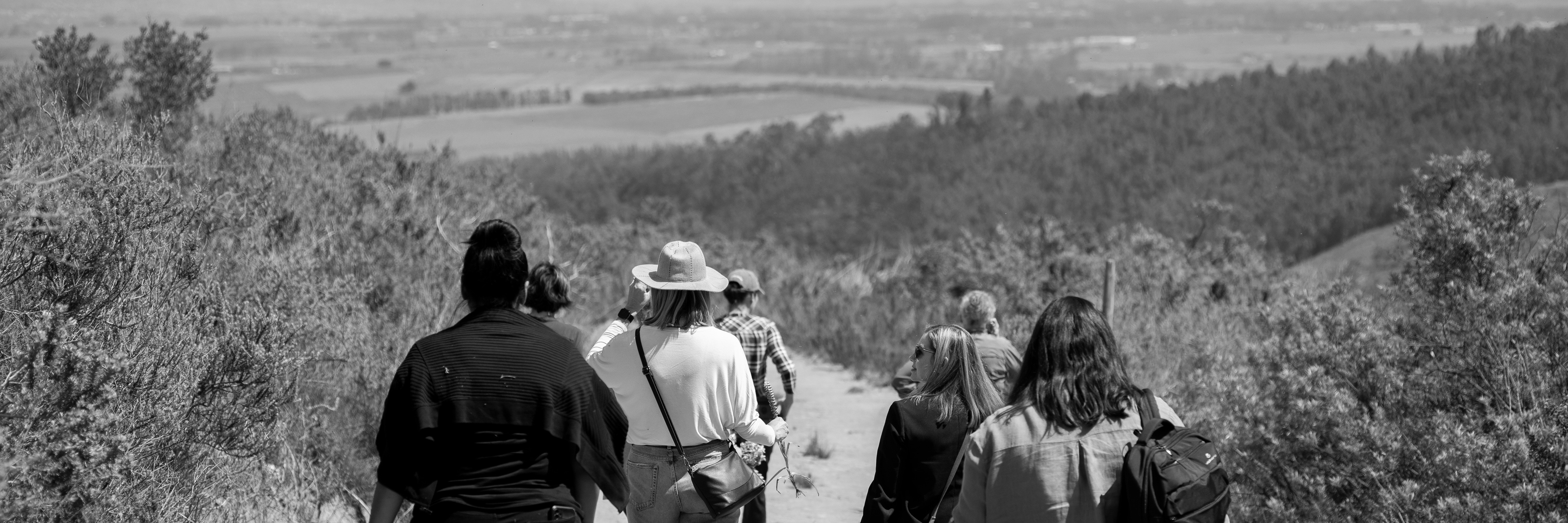 STEPS, SIPS & SLICES