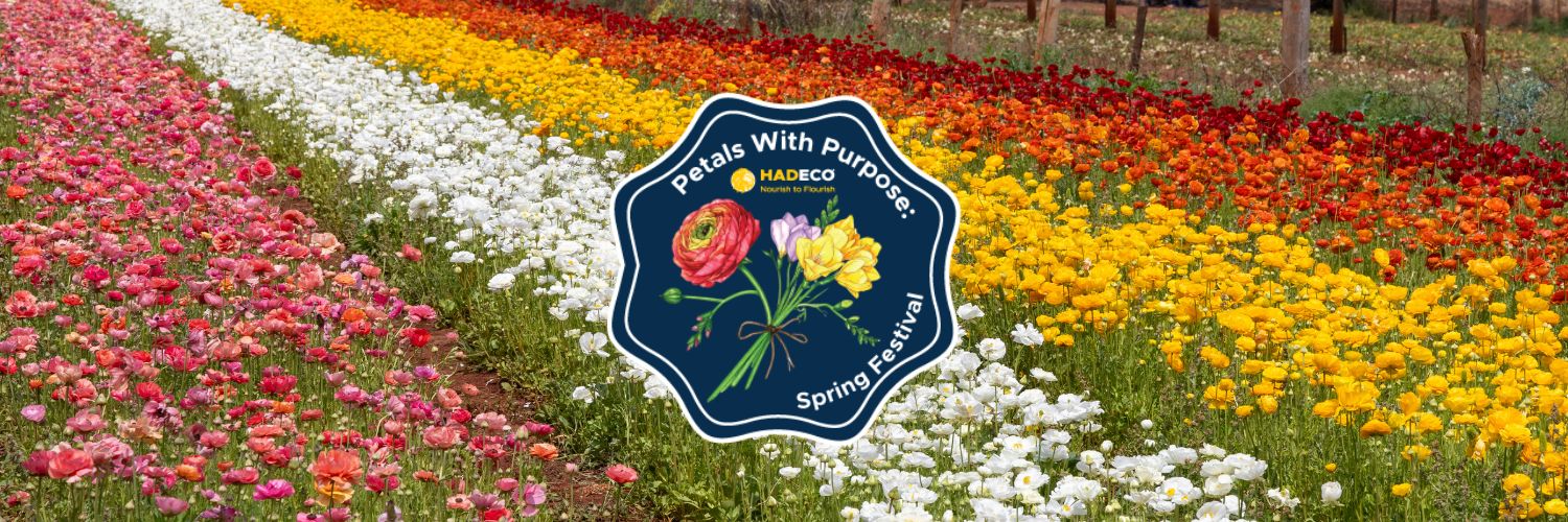 Petals with Purpose: Spring Festival