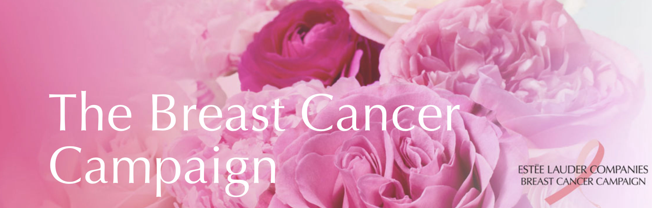 Cellars - Breast Cancer Awareness luncheon