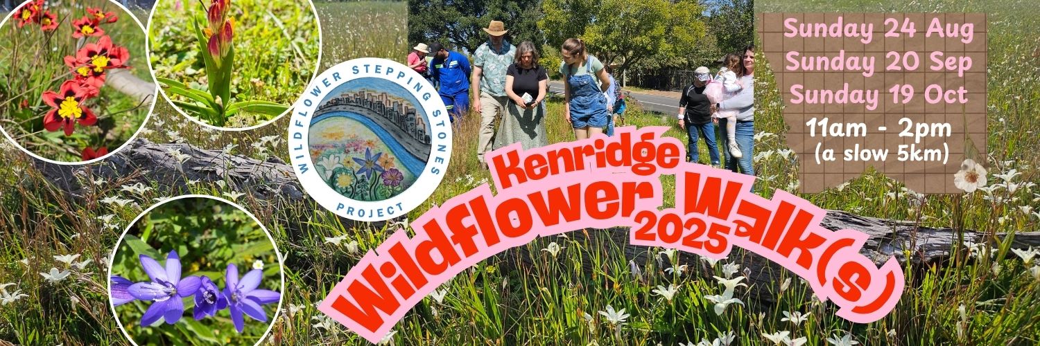 Kenridge Wildflower Walk 2025