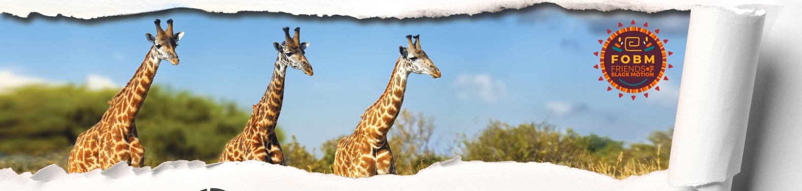 FOBM BOMA EDITION 2025