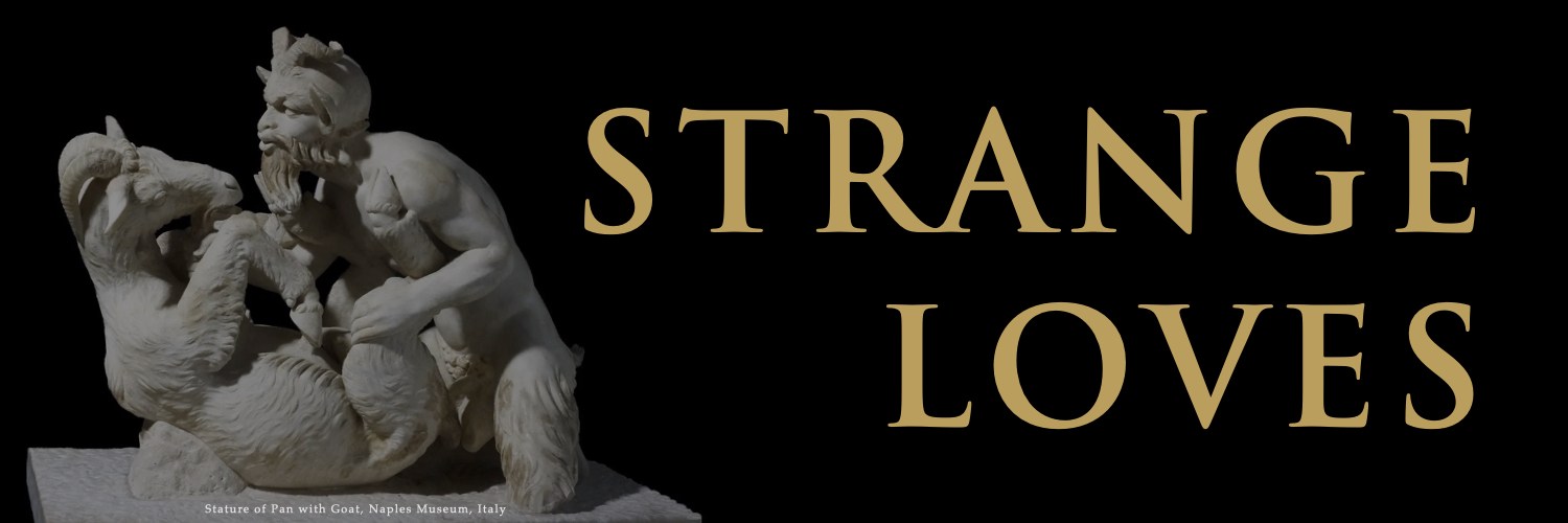 Strange Loves: The Psychology of Compulsions, Pornography, Rape and Nymphomania