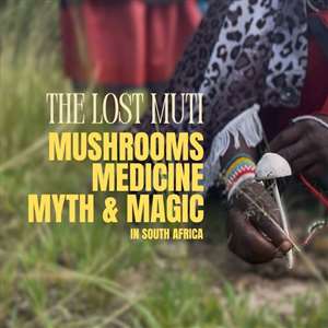 The Lost Muti - Noordhoek 2025
