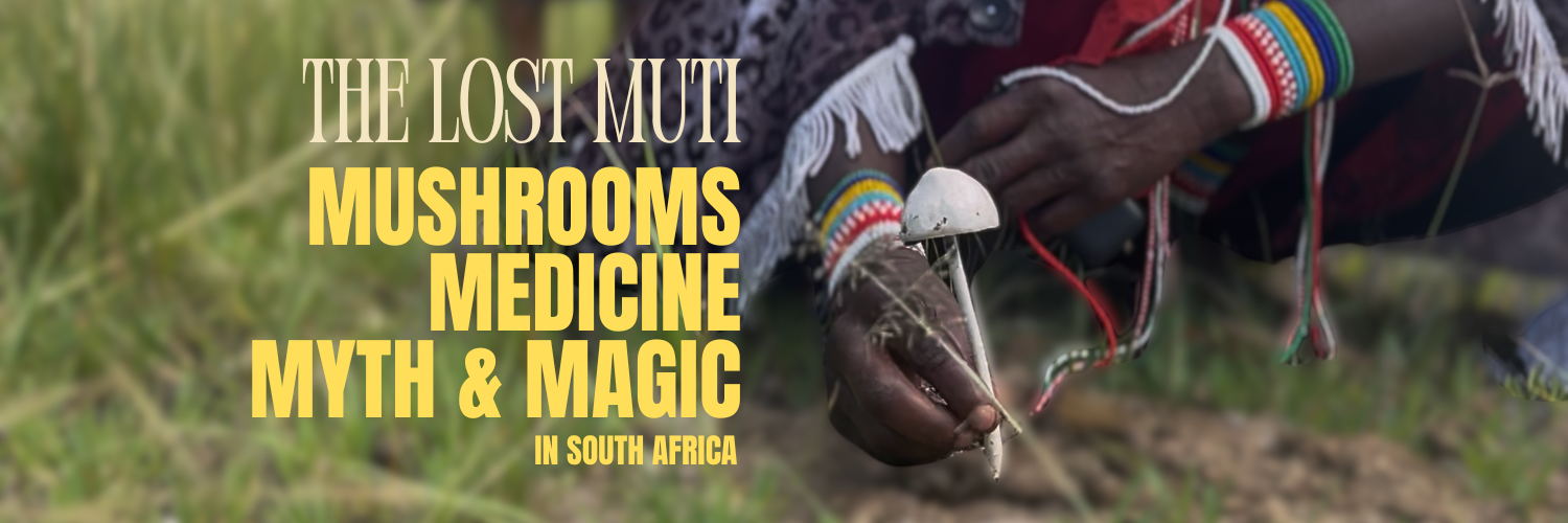 The Lost Muti - Noordhoek 2025