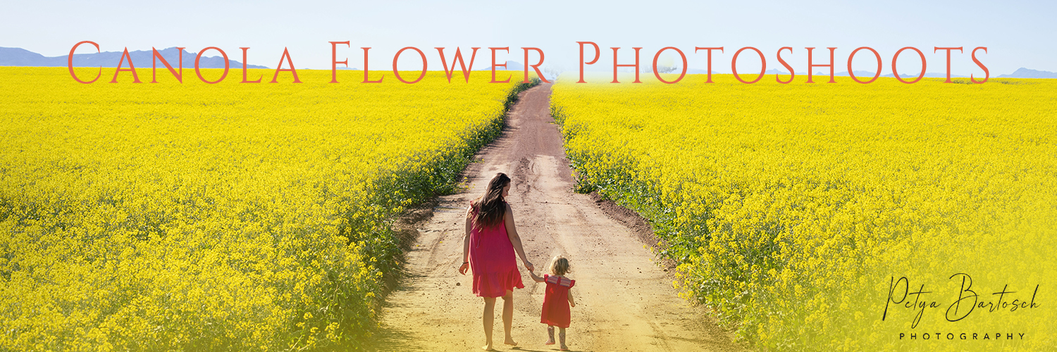 Canola Field Photoshoot