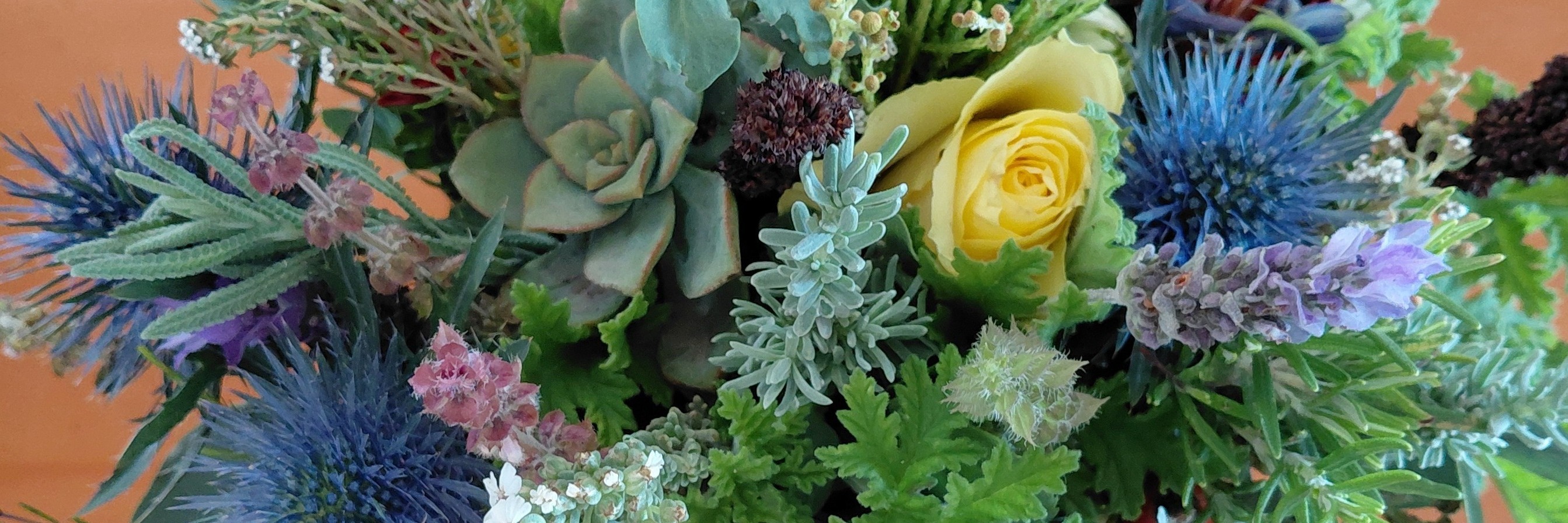 Entwined Floriography Workshops @ Stanford Blooms