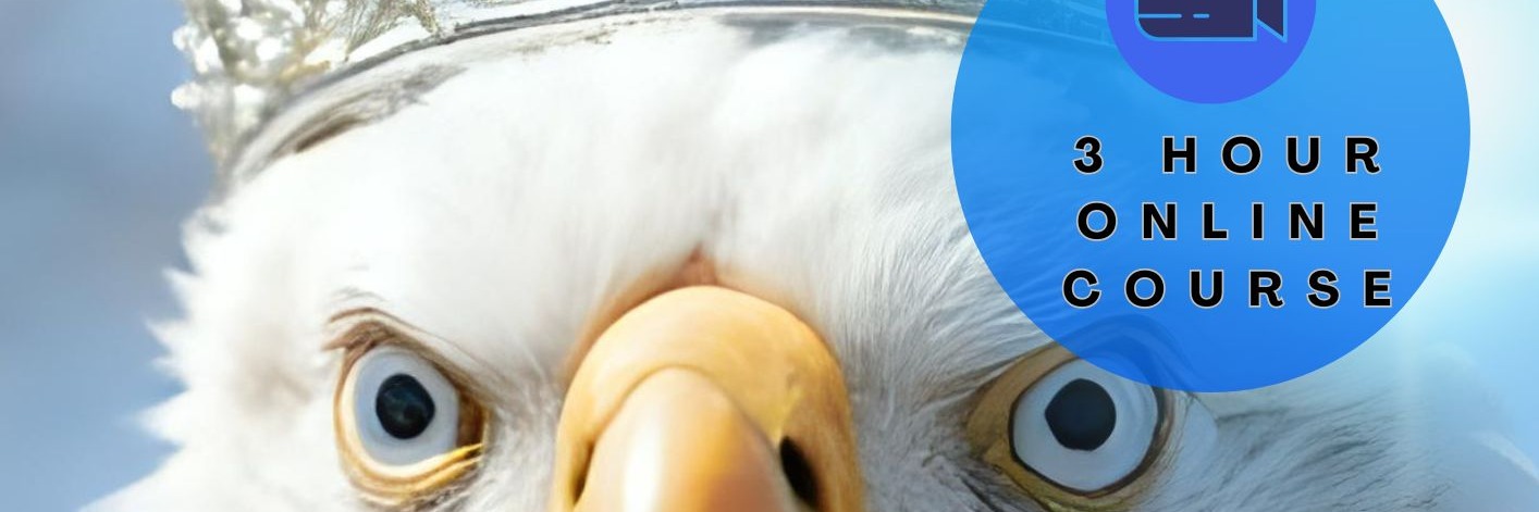 Prophets and Seers Online Course